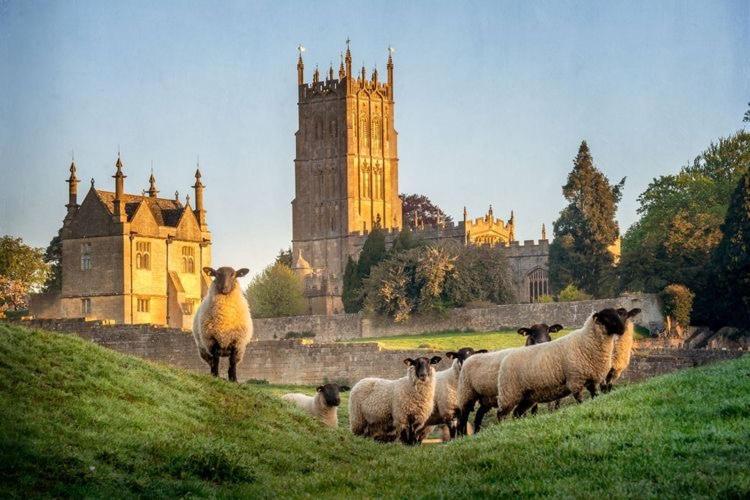 Cotswold Chic Retreats "Jacinabox" Central Chipping Campden-Parking-Garden Exterior foto
